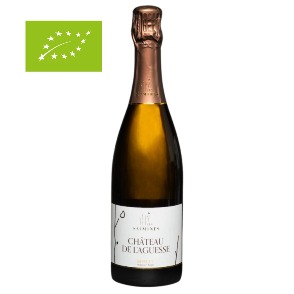 Château de l'Aguesse - Brut 